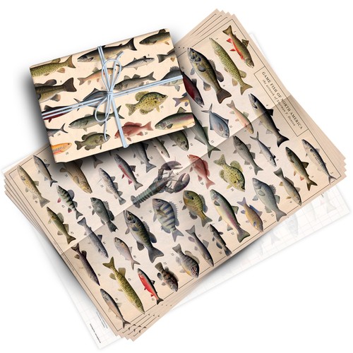 Vintage fish wrapping paper - vintage,